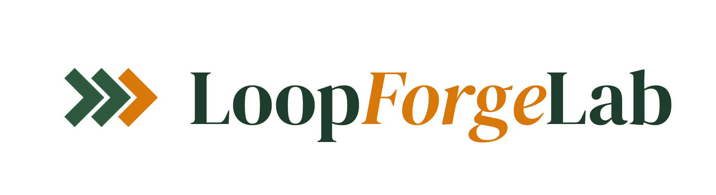 LoopForgeLab